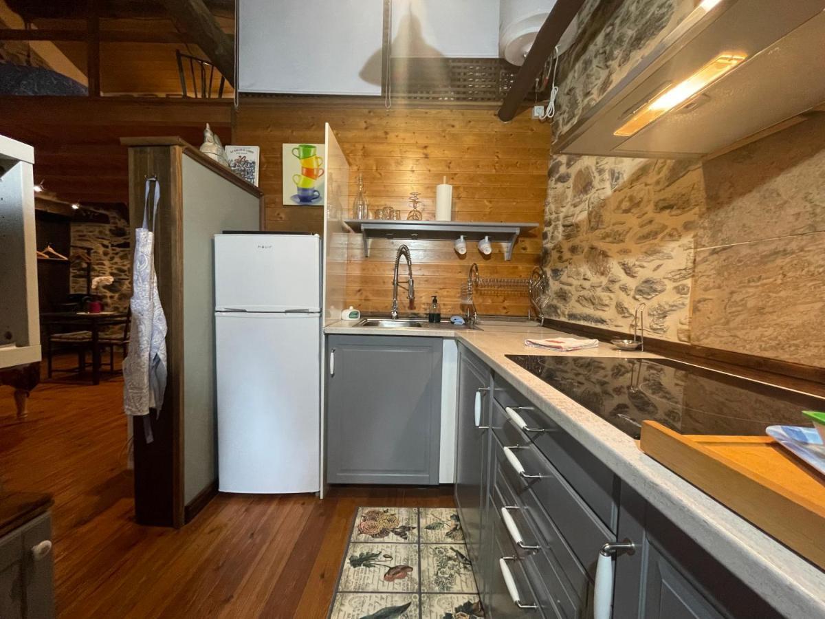 Apartamento Felicitas En La Casa De Cobos, Ribeira Sacra Puebla Del Brollon Exterior photo